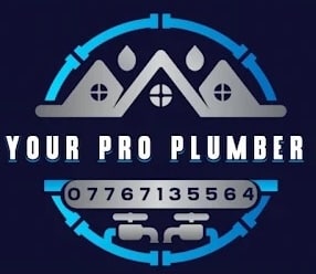 your pro plumber logo 1